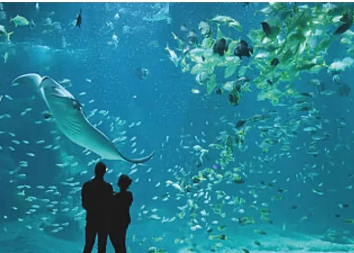 Opaloriental Sur - Gare Et Centre 2*